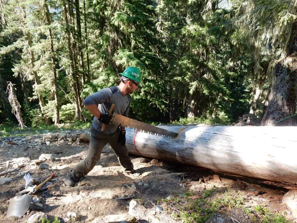 Davenport uses a handsaw to cut apart a log that had fallen on a trail.